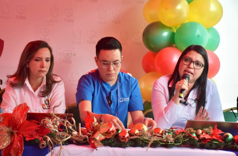 Fin de año sin dengue: no descuide los hábitos protectores