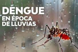 Estemos preparados en la temporada de lluvias para combatir el dengue