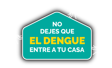 Cuidémonos del dengue en temporada de fin de año