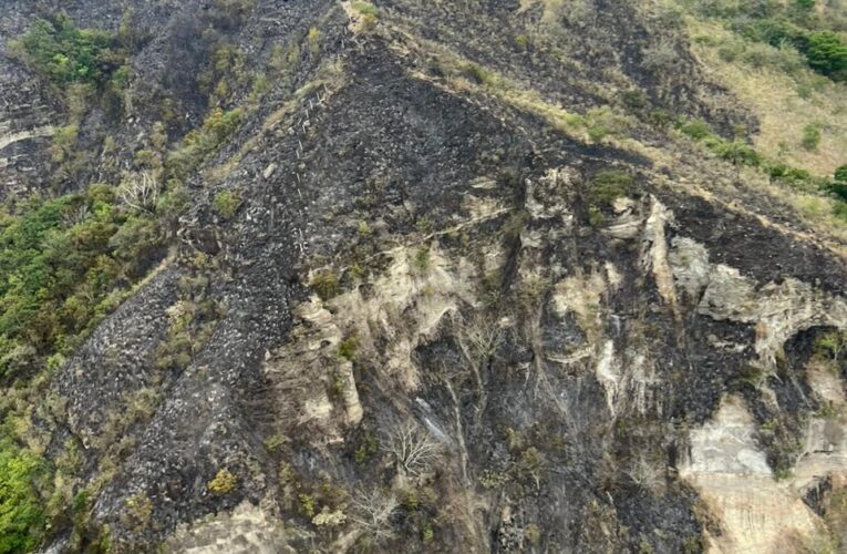 Organismos de Socorro logran Controlar Incendio en Honda