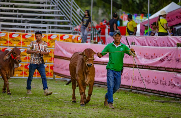 Comenzó la Feria Agropecuaria en Ibagué