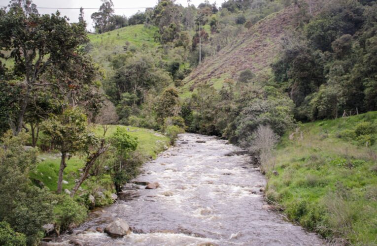 Cortolima y Gobernación del Tolima se unen por la protección del agua con el fondo Siembrazul