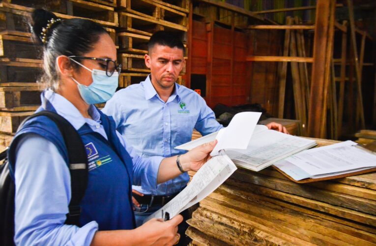 Cortolima llama a municipios a garantizar legalidad y seguridad en estructuras artesanales de fiestas folclóricas