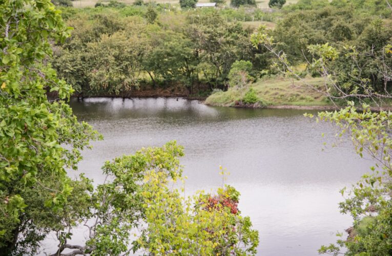 TUA: cuándo pagarla, quién la cobra y para qué sirve