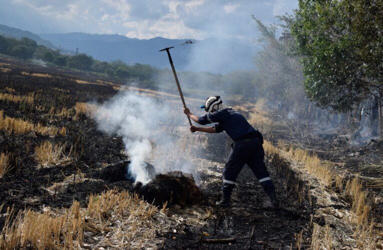 Cortolima ha entregado 20 planes de contingencia para atender y prevenir incendios forestales