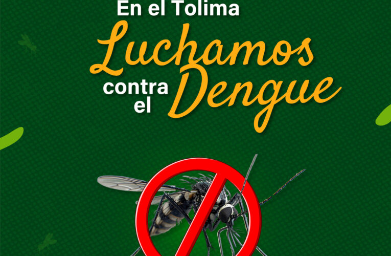 Tolima refuerza medidas contra el dengue