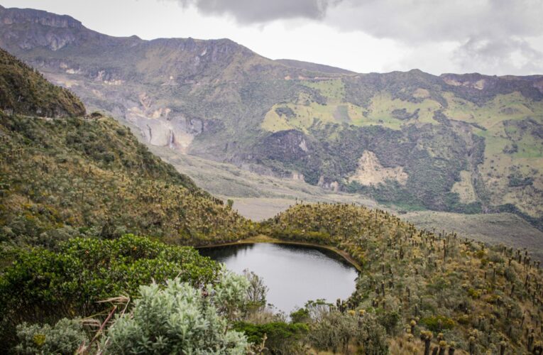 Cortolima invita a los tolimenses a ponerse al día con sus pagos ambientales