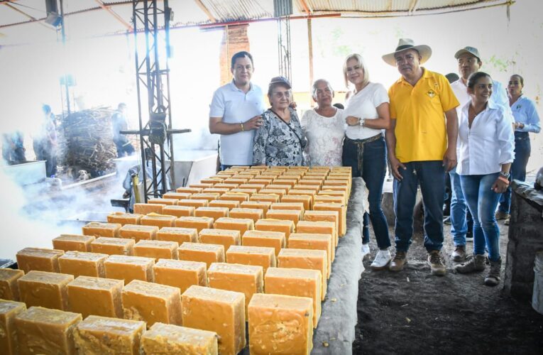 Con hornilla panelera, huertas y biofábricas, Cortolima fortalece la transformación sostenible y la protección de los bosques en Rovira