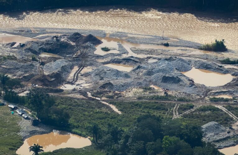Más de 230 hectáreas de bosque arrasadas por minería ilegal en Ataco