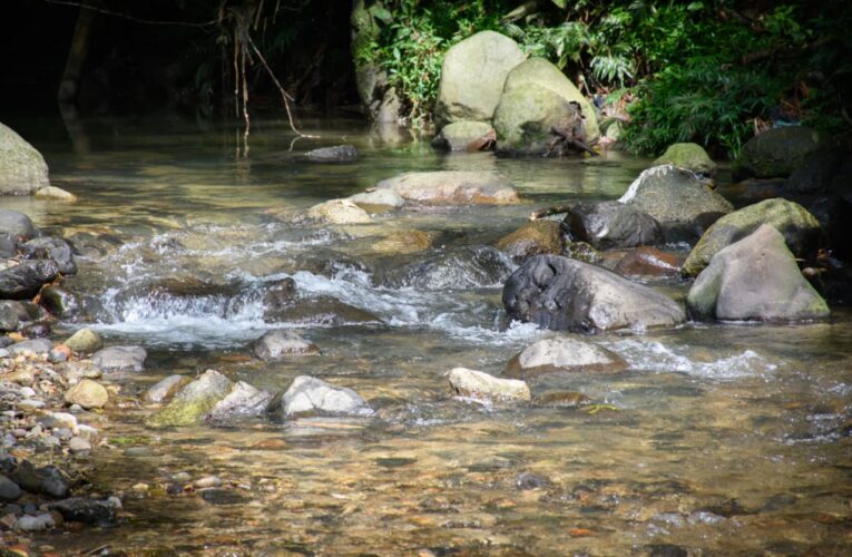 Río Chipalo de vuelta a la vida: Cortolima entregó histórica obra de descontaminación