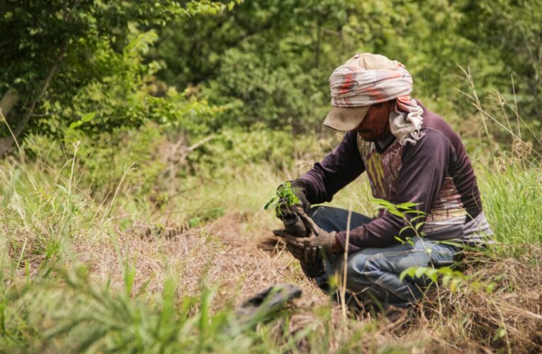 Cortolima logra aprobación de $14.787 millones para conservar áreas estratégicas en Tolima