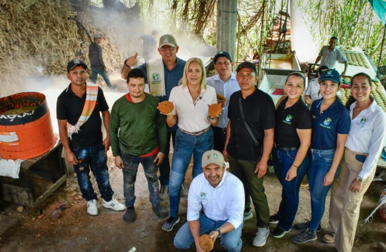 Paneleros de Mariquita reducen tala y consumo de leña con hornillas entregadas por Cortolima