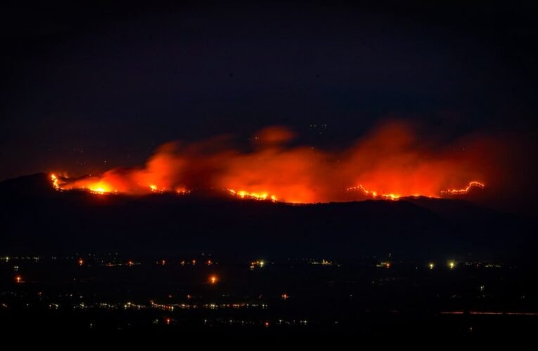 Incendios forestales han afectado más de 22.000 hectáreas en el Tolima