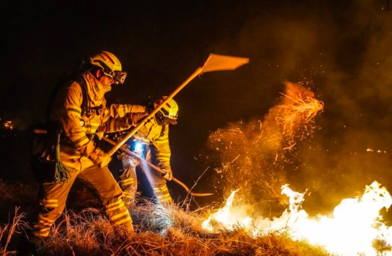 “Ratificamos: son $100 millones por información que nos permita capturar a promotores de incendios en el Tolima”: secretario de Seguridad
