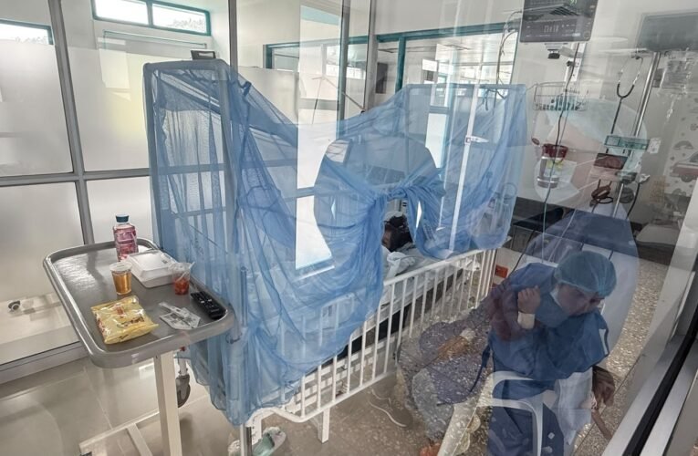 Cambio climático y dengue: la Secretaría de Salud del Tolima alerta sobre la importancia de prevenir y reconocer los signos de alarma